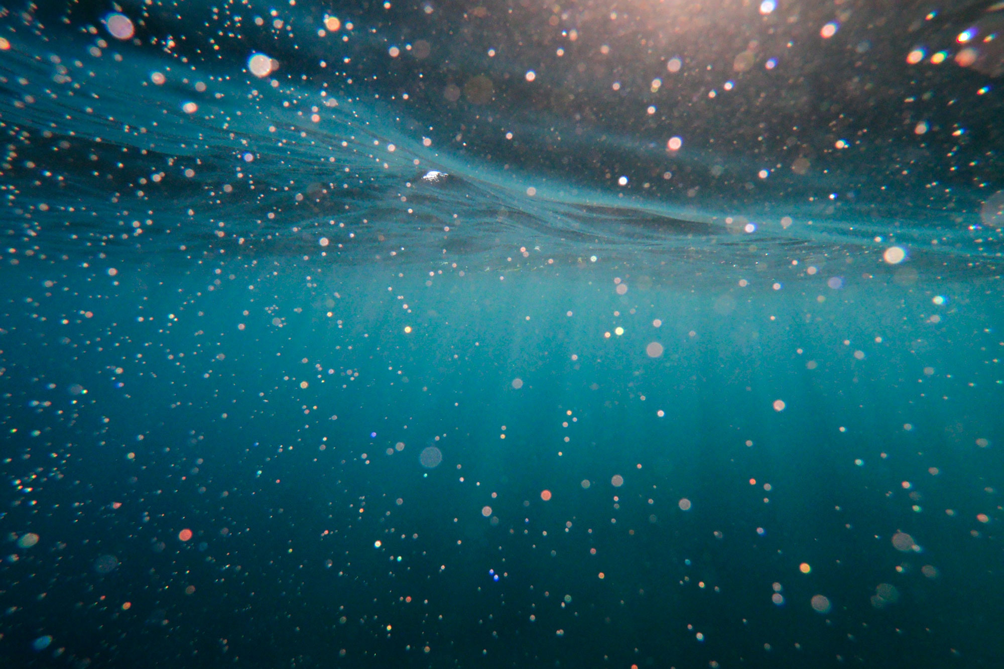 Under the ocean surface